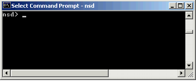 Notes/Domino で NSD を手動実行する方法